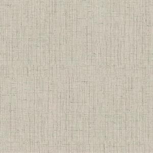 OGONÃ¬ PARATO TNT TINTA NITA GRIGIO CHIARO 10x0,53mt