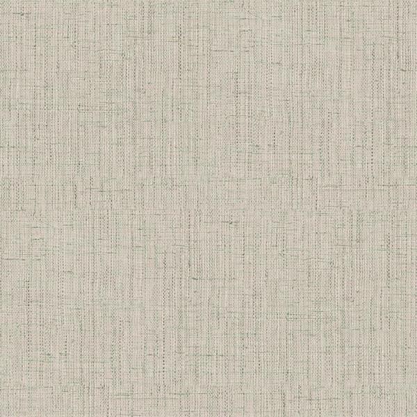 OGONÃ¬ PARATO TNT TINTA NITA GRIGIO CHIARO 10x0,53mt