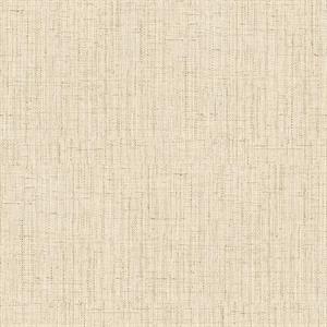 OGONÃ¬ PARATO TNT TINTA NITA BEIGE CHIARO 10x0,53mt