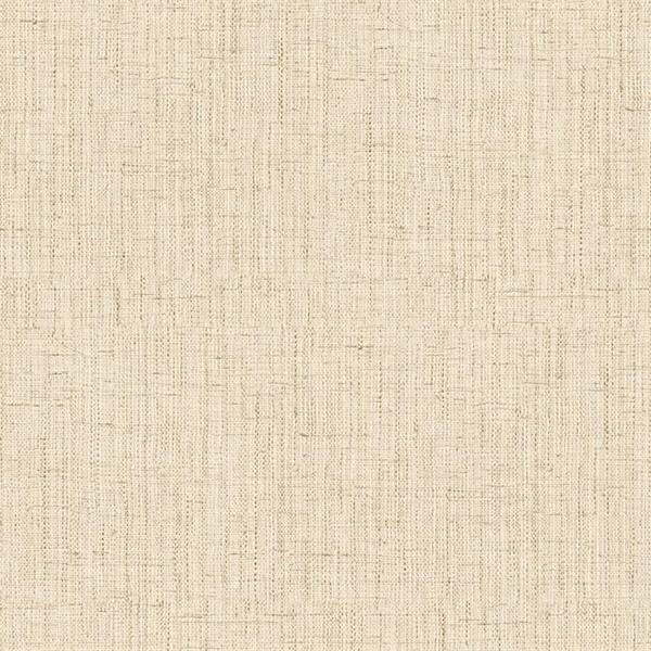 OGONÃ¬ PARATO TNT TINTA NITA BEIGE CHIARO 10x0,53mt