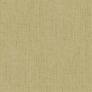 OGONÃ¬ PARATO TNT TINTA NITA BEIGE 10x0,53mt