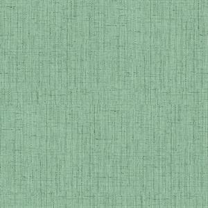 OGONÃ¬ PARATO TNT TINTA NITA VERDE CHIARO 10x0,53mt