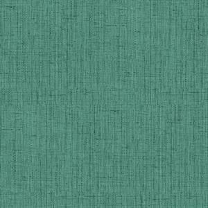 OGONÃ¬ PARATO TNT TINTA NITA VERDE 10x0,53mt
