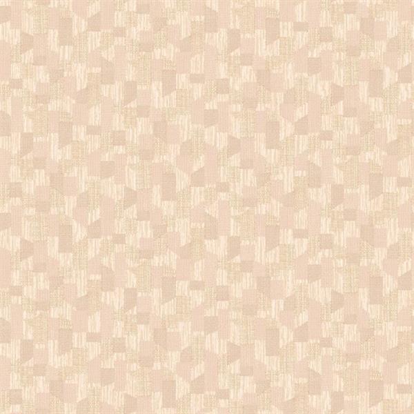 OGONÃ¬ PARATO TNT DISEGNE FANTASIE BEIGE E BEIGE CHIARO 10x0,53m
