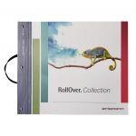 CAMPIONARIO ROLLOVER 2022 COLLECTION DECOR