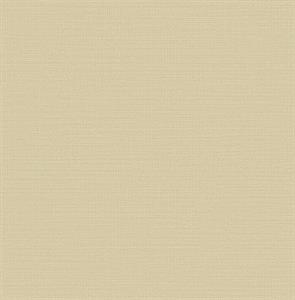 ROY PARATO TNT TRAMA A RGHE BEIGE 10x0,53mt
