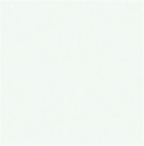 ROY PARATO TNT TINTA UNIA GRIGIO CHIARO 10x0,53mt