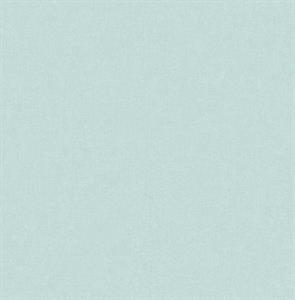 ROY PARATO TNT TINTA UNIA CELESTE 10x0,53mt