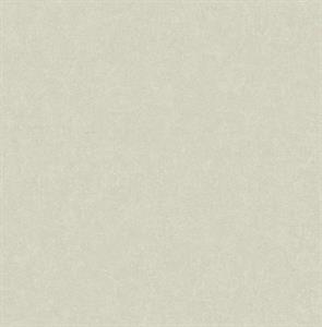 ROY PARATO TNT TINTA UNIA GLICINE 10x0,53mt