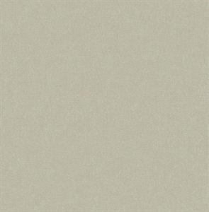 ROY PARATO TNT TINTA UNIA GRIGIO CHIARO 10x0,53mt