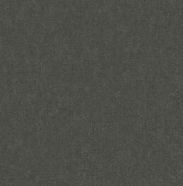 ROY PARATO TNT TINTA UNIA GRIGIO 10x0,53mt