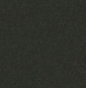 ROY PARATO TNT TINTA UNIA GRIGIO SCURO 10x0,53mt