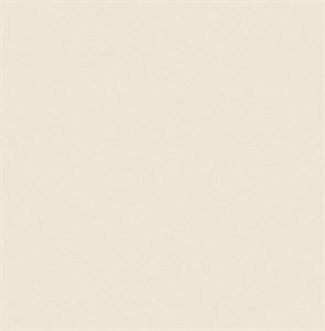 ROY PARATO TNT TINTA UNIA ROSA 10x0,53mt