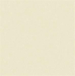 ROY PARATO TNT TINTA UNIA ROSA PALLIDO 10x0,53mt