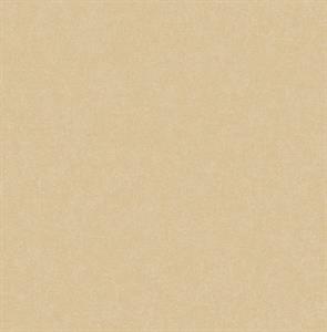 ROY PARATO TNT TINTA UNIA CIPRIA 10x0,53mt