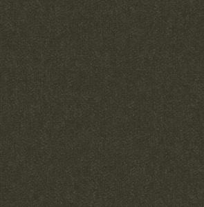 ROY PARATO TNT TINTA UNIA MARRONE 10x0,53mt