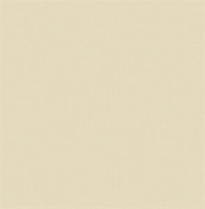 ROY PARATO TNT TRAMA A RGHE ROSA 10x0,53mt