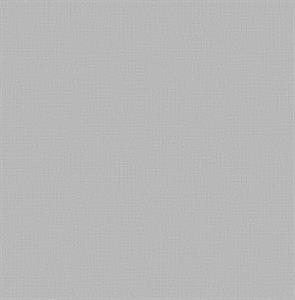 ROY PARATO TNT TRAMA A RGHE GLICINE 10x0,53mt