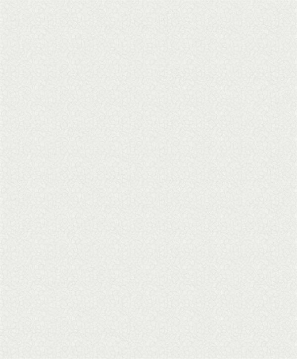 SANTIAGO PARATO SU TNT  DESIGN MATERICO GRIGIO CHIARO 10x0,53mt