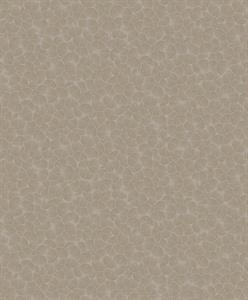 SANTIAGO PARATO SU TNT  FOGLIE DESIGN FANGO BIANCO 10x0,53mt