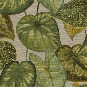 PARATO TAHITI VINILICO S.TNT FOLIAGE BROWN 0,53X10,05MT