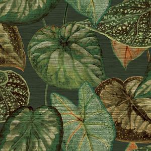 PARATO TAHITI VINILICO S.TNT JUNGLE GREEN 0,53X10,05MT