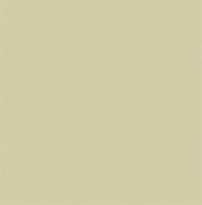 WALTER PARATO TNT TINTA NITA AVORIO 10x0,53mt