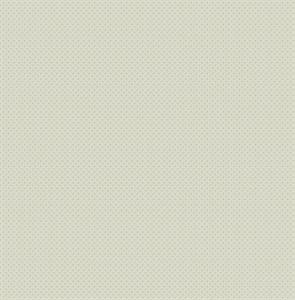 WALTER PARATO TNT DISEGNE FANTASIE BIANCO ARGENTO 10x0,53mt