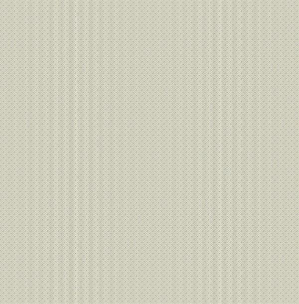 WALTER PARATO TNT DISEGNE FANTASIE AVORIO ARGENTO 10x0,53mt