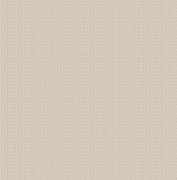 WALTER PARATO TNT TINTA NITA BEIGE 10x0,53mt