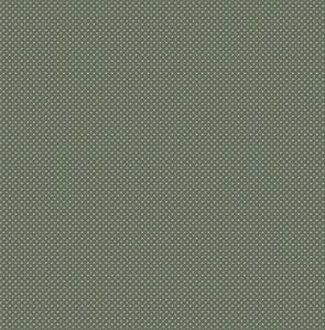 WALTER PARATO TNT DISEGNE FANTASIE VERDE ARGENTO 10x0,53mt
