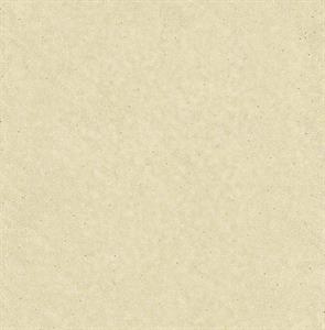 WALTER PARATO TNT DISEGNE FANTASIE BEIGE BIANCO 10x0,53mt