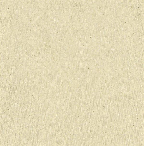 WALTER PARATO TNT DISEGNE FANTASIE BEIGE BIANCO 10x0,53mt