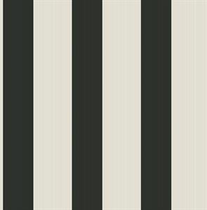 WALTER PARATO TNT RIGHE ANCO NERO 10x0,53mt