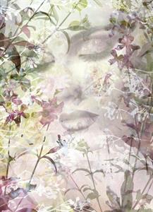 FOTOMURALE KOMAR IMAGINE 3 SU TNT SENSE 184x248 cm