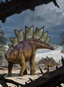 FOTOMURALE INTO ADVENTURE STEGOSAURUS MIS.184X248CM