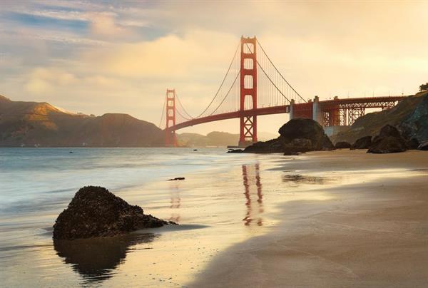 FOTOMURALE KOMAR SU TNT GOLDEN GATE 368X248cm