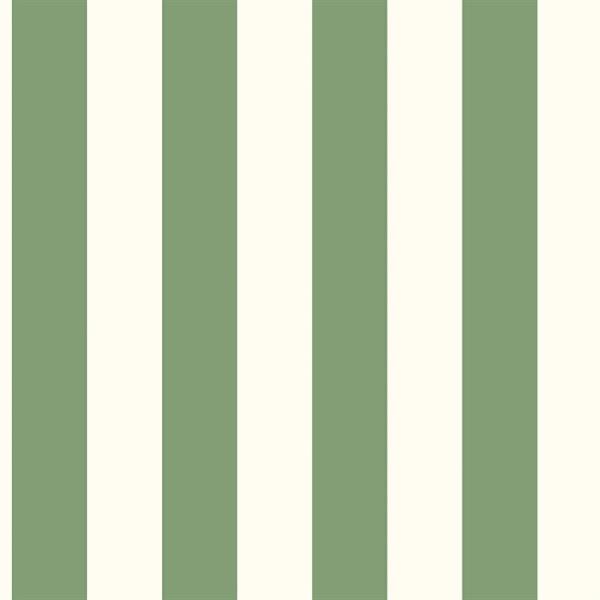 PARATO JUST KITCHEN IN PVC/TNT RIGHE GREEN 0,53X10,05MT