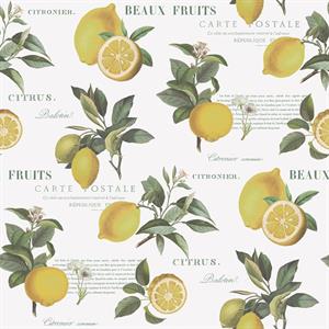 PARATO JUST KITCHEN PVC/TNT.LEMON FRUIT 0,53X10MT