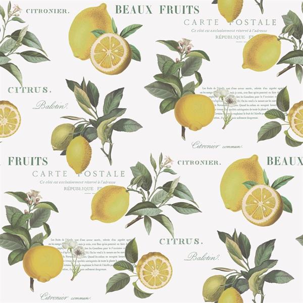 PARATO JUST KITCHEN PVC/TNT.LEMON FRUIT 0,53X10MT