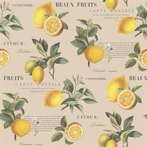 PARATO JUST KITCHEN PVC/TNT LEMON+SCRITTE 0,53X10MT