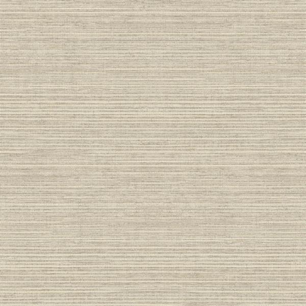 PARATO NATURAL FX2 VINILE/SU TNT UNITO TAUPE 0,53X10,05MT