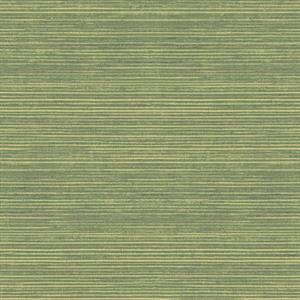 PARATO NATURAL FX2 VINILE/SU TNT UNITO GREEN 0,53X10,05MT