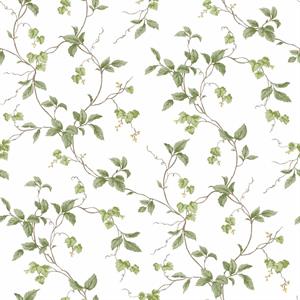 KITCHEN REC. PARATO SU TNT RAMI VERDE MARR - 10 x 0,53 MT GR. B