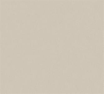 PINTWALLS PARATO VINILICSU TNT UNITO TORT.0,53X10,05MT