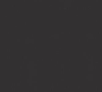 PINTWALLS PARATO VINILICSU TNT UNITO NERO 0,53X10,05MT