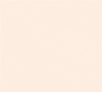 PINTWALLS PARATO VINILICSU TNT PAGLINO 0,53X10,05MT