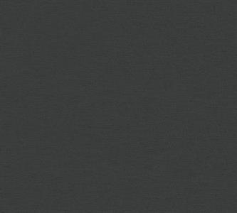 PINTWALLS PARATO VINILICSU TNT NERO 0,53X10,05MT