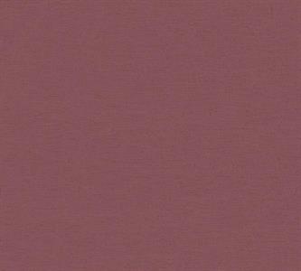 PINTWALLS PARATO VINILICSU TNT UNITO BORD. 0,53X10,05MT