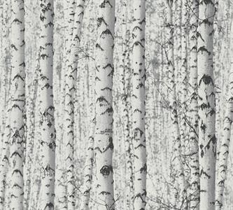 PINTWALLS PARATO VINILICSU TNT ALBERI BL. 0,53X10,05MT